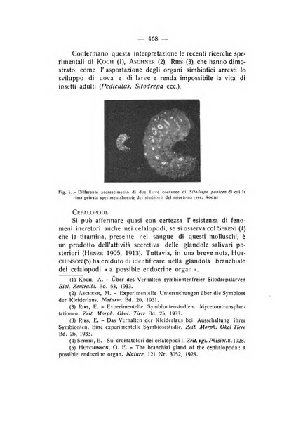 Rivista di fisica, matematica e scienze naturali