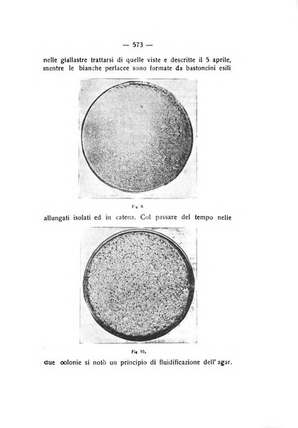 Rivista di fisica, matematica e scienze naturali