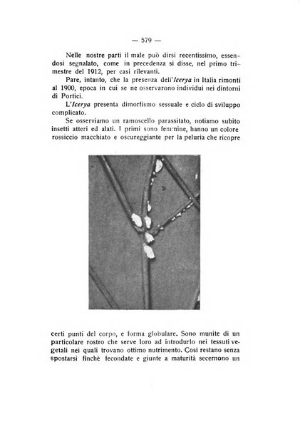 Rivista di fisica, matematica e scienze naturali