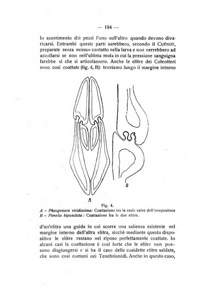 Rivista di fisica, matematica e scienze naturali