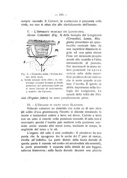 Rivista di fisica, matematica e scienze naturali