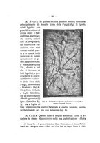 giornale/TO00194090/1935-1936/unico/00000106