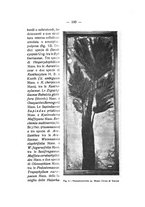 giornale/TO00194090/1935-1936/unico/00000110