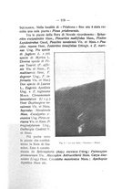 giornale/TO00194090/1935-1936/unico/00000113