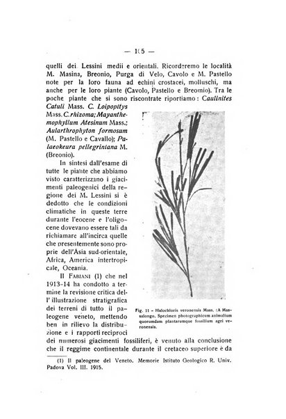 Rivista di fisica, matematica e scienze naturali