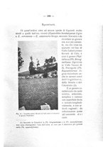 giornale/TO00194090/1935-1936/unico/00000207