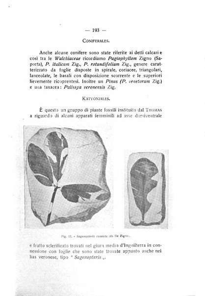 Rivista di fisica, matematica e scienze naturali