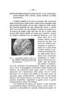 giornale/TO00194090/1935-1936/unico/00000257