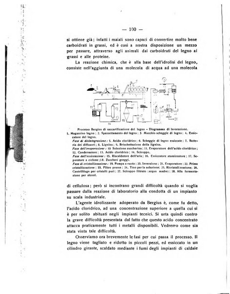 Rivista di fisica, matematica e scienze naturali