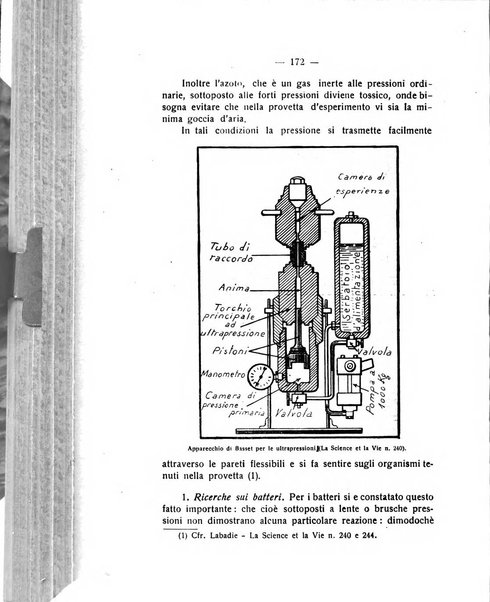 Rivista di fisica, matematica e scienze naturali