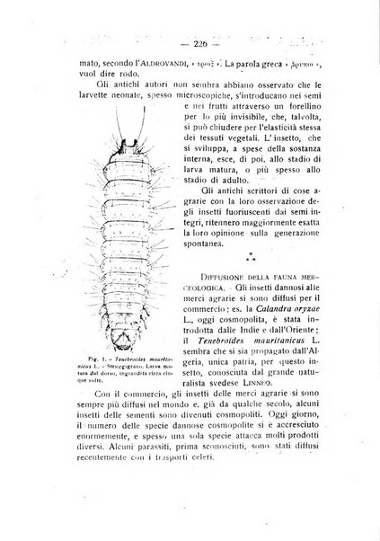 Rivista di fisica, matematica e scienze naturali