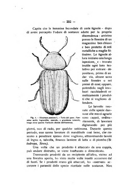 Rivista di fisica, matematica e scienze naturali