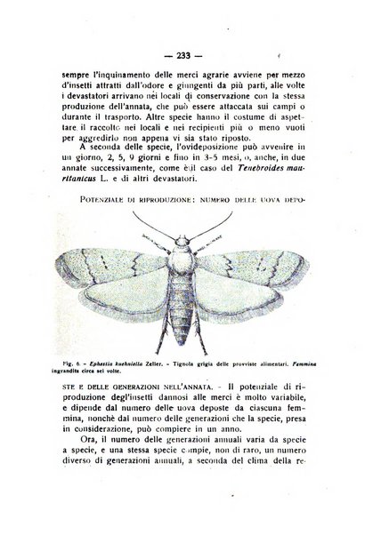 Rivista di fisica, matematica e scienze naturali