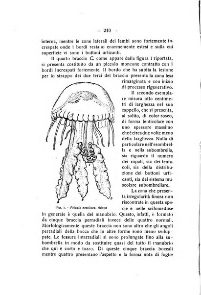 Rivista di fisica, matematica e scienze naturali