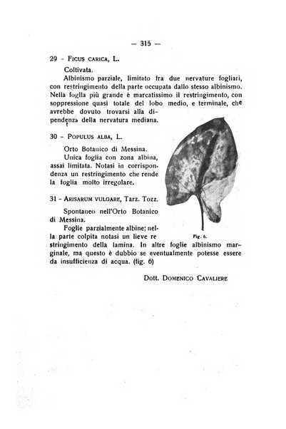 Rivista di fisica, matematica e scienze naturali