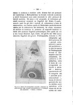 giornale/TO00194090/1940-1941/unico/00000124