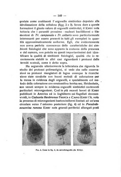 Rivista di fisica, matematica e scienze naturali