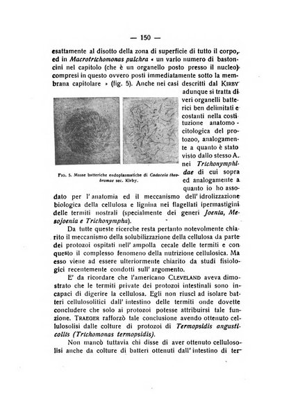 Rivista di fisica, matematica e scienze naturali