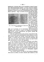 giornale/TO00194090/1940-1941/unico/00000126