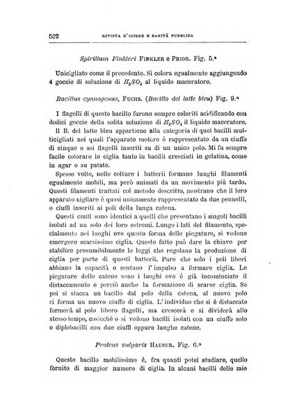 Rivista d'igiene e sanità pubblica con bollettino sanitario-amministrativo compilato sugli atti del Ministero dell'interno