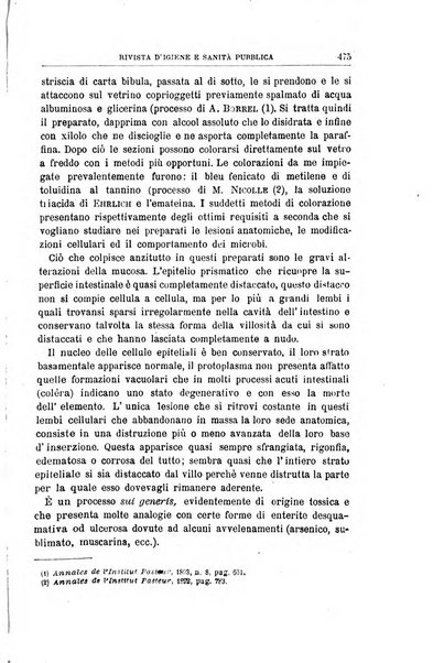 Rivista d'igiene e sanità pubblica con bollettino sanitario-amministrativo compilato sugli atti del Ministero dell'interno