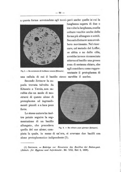 Rivista d'igiene e sanità pubblica con bollettino sanitario-amministrativo compilato sugli atti del Ministero dell'interno