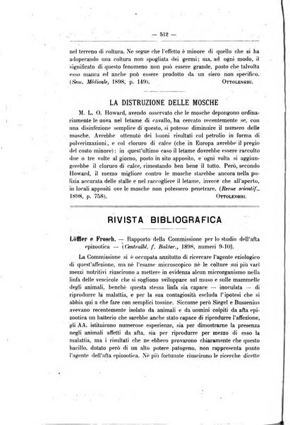 Rivista d'igiene e sanità pubblica con bollettino sanitario-amministrativo compilato sugli atti del Ministero dell'interno