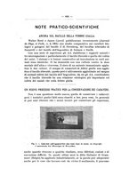 giornale/TO00194095/1901/unico/00000462