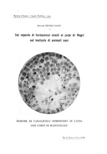 Rivista d'igiene e sanità pubblica con bollettino sanitario-amministrativo compilato sugli atti del Ministero dell'interno