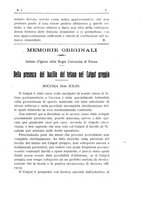 giornale/TO00194095/1910/unico/00000013