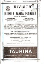 giornale/TO00194095/1917/unico/00000385