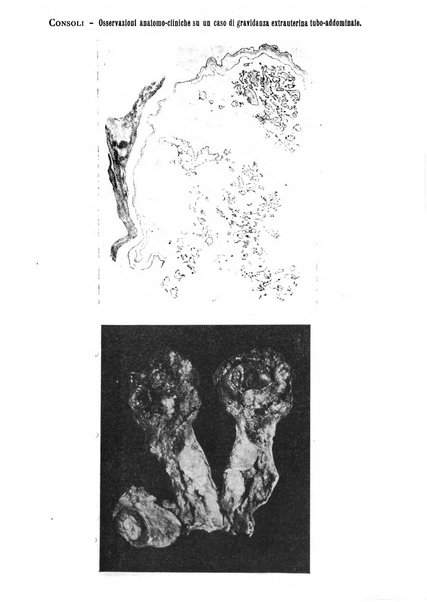 Rivista di ostetricia e ginecologia pratica organo della Societa siciliana di ostetricia e ginecologia