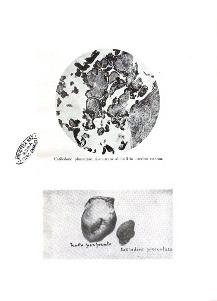 Rivista di ostetricia e ginecologia pratica organo della Societa siciliana di ostetricia e ginecologia