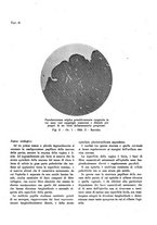 giornale/TO00194133/1942/unico/00000244