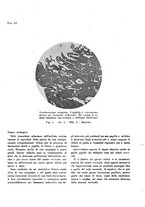 giornale/TO00194133/1942/unico/00000248