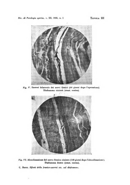 Rivista di patologia sperimentale