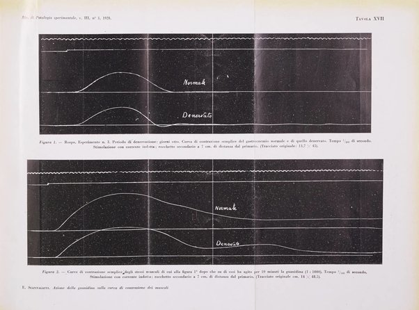 Rivista di patologia sperimentale