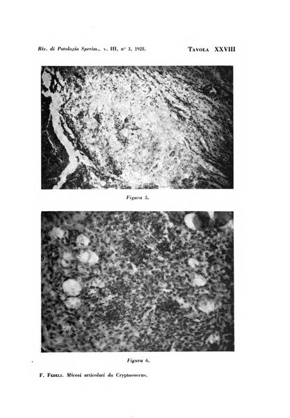 Rivista di patologia sperimentale