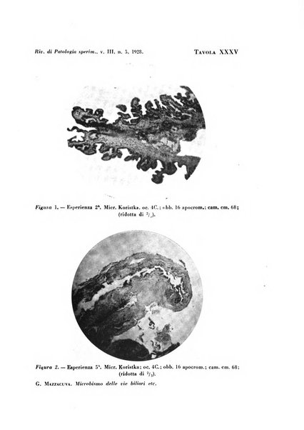 Rivista di patologia sperimentale