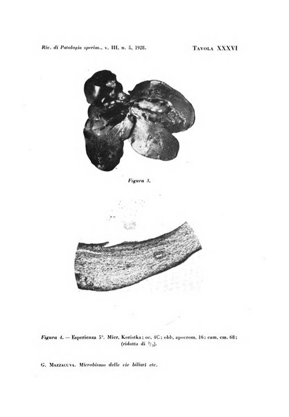 Rivista di patologia sperimentale