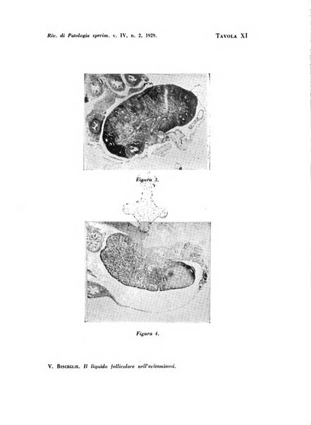 Rivista di patologia sperimentale