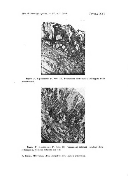 Rivista di patologia sperimentale