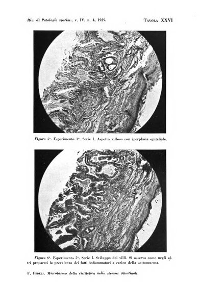 Rivista di patologia sperimentale