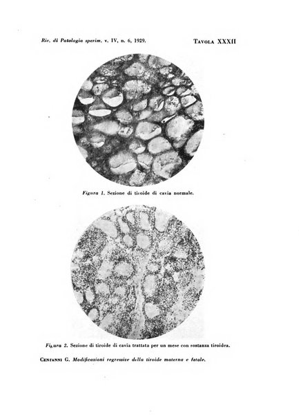 Rivista di patologia sperimentale