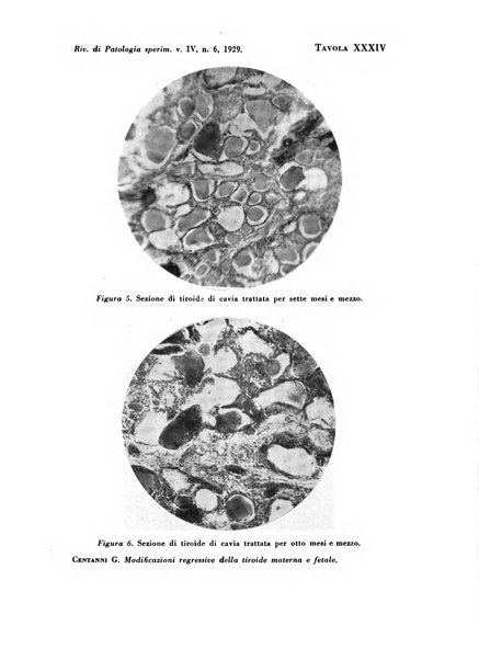 Rivista di patologia sperimentale