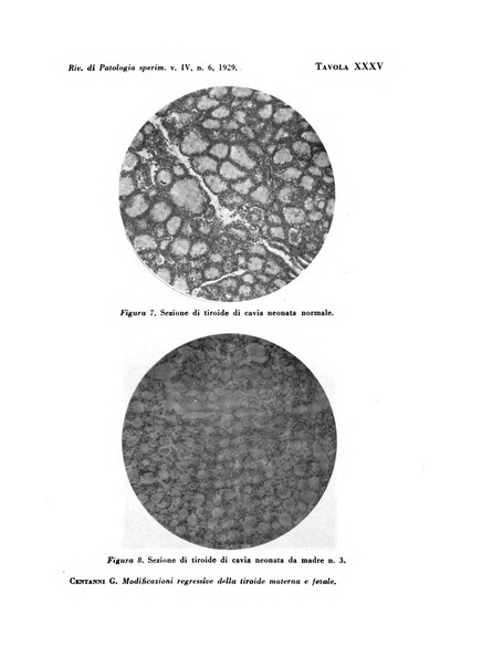 Rivista di patologia sperimentale