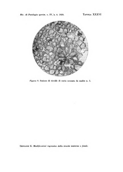 Rivista di patologia sperimentale