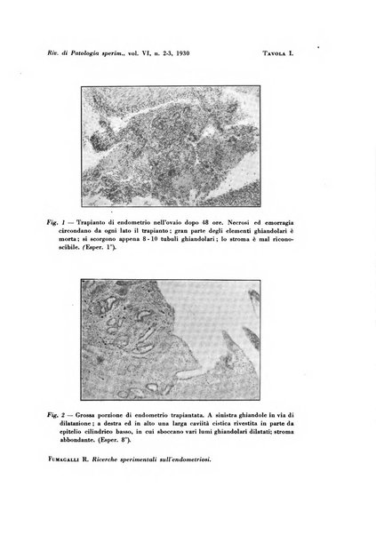 Rivista di patologia sperimentale