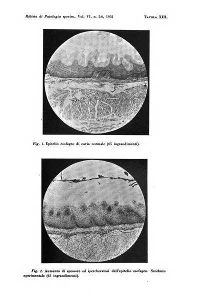 Rivista di patologia sperimentale