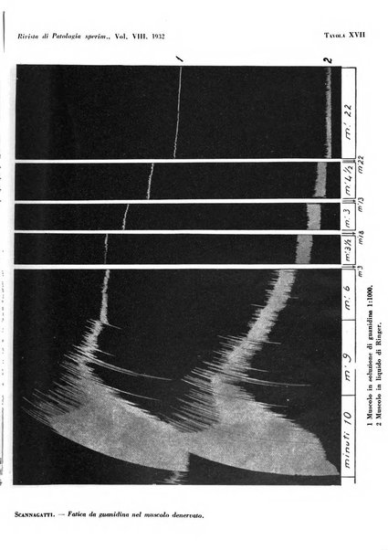 Rivista di patologia sperimentale